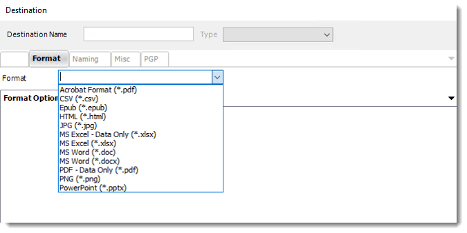 Power BI and SSRS Reports: Format Section for Power BI in PBRS.