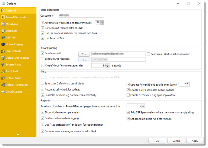 Power BI and SSRS. General section in Options in PBRS.