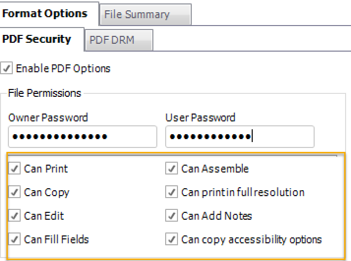 PDF Security Options