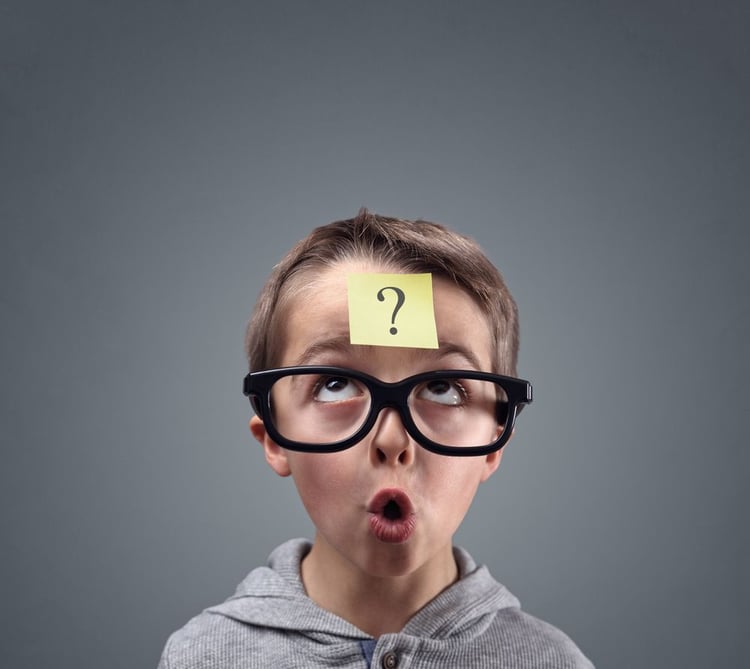 Can Your Crystal Reports Export to PDF? | CRD Can Your Crystal Reports Export to PDF? | CRD