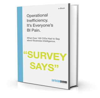 eBook: What 100 CIOs had to say about BI