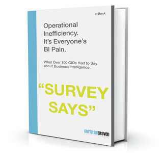 eBook: What 100 CIOs had to say about BI eBook: What 100 CIOs had to say about BI