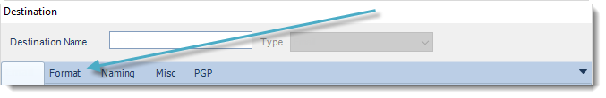 SSRS. Format section in any type of destination in SQL-RD