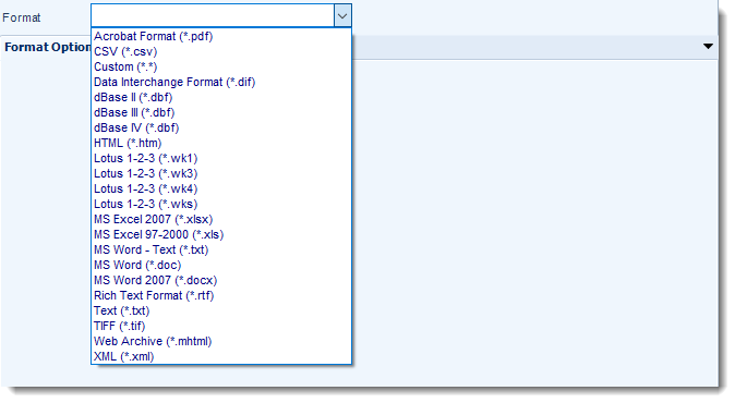 SSRS. Output Format in SQL-RD