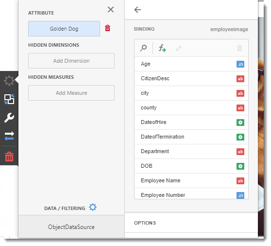 KPI's and Dashboards: Creating Images Dashboard item in IntelliFront BI.