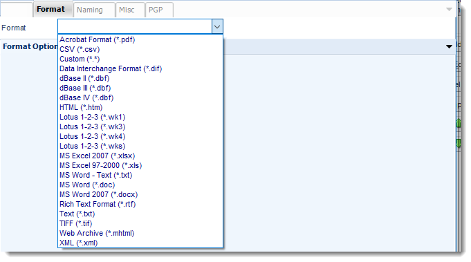 Power BI and SSRS. Format section in Destination Wizard in PBRS