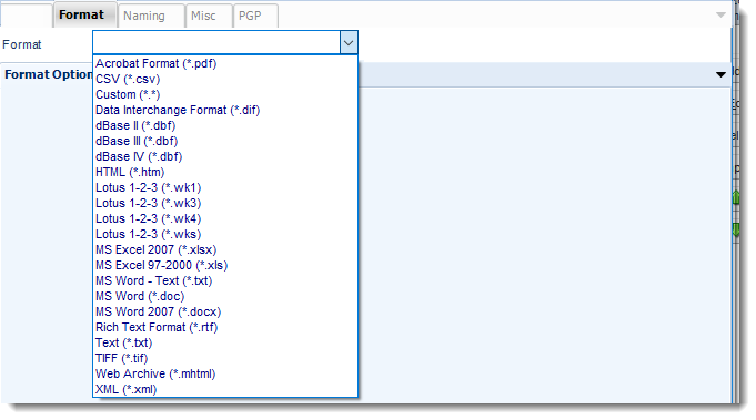 Power BI and SSRS Reports: Format Section in PBRS.