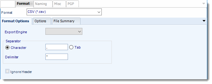 Power BI and SSRS. CSV Output Format section in Destination Wizard in PBRS.