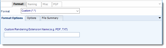 Power BI and SSRS. Custom Format section in Destination Wizard in PBRS.