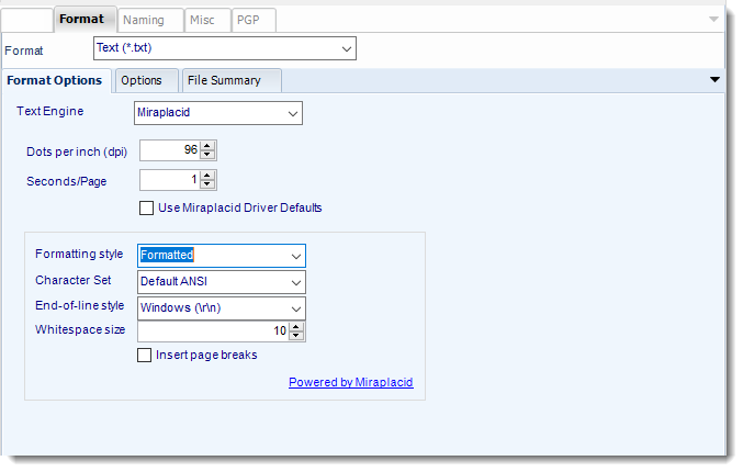 Power BI and SSRS. Text output format section in Destination Wizard in PBRS.