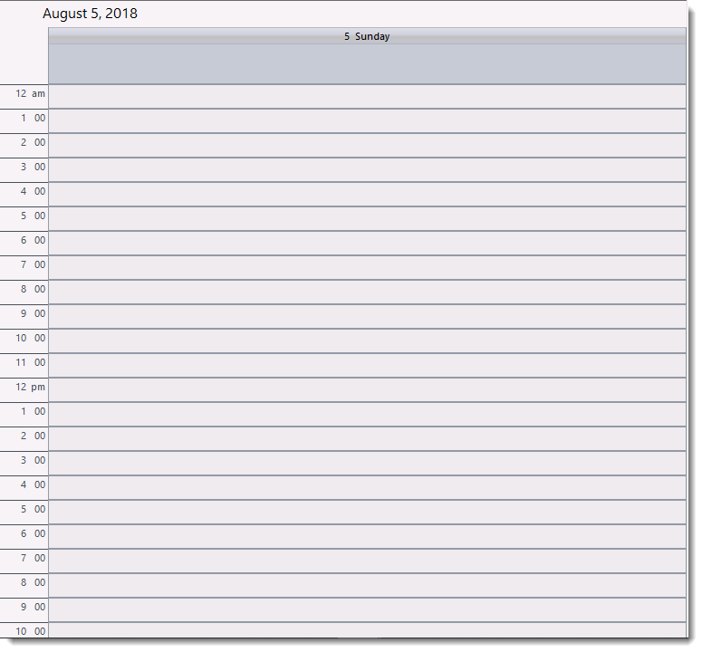 SSRS. SQL-RD Outlook Day view in SQL-RD.