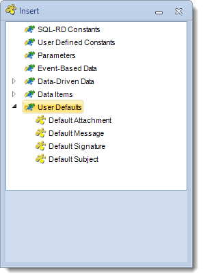 SSRS. Insert Menu: User Defaults in SQL-RD
