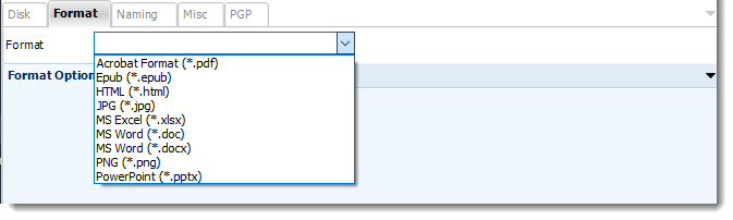 Power BI and SSRS. Format Section in Destination Wizard in PBRS